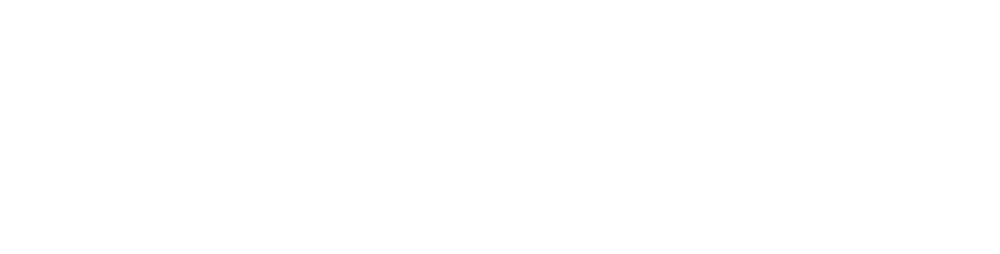 Inteliventa